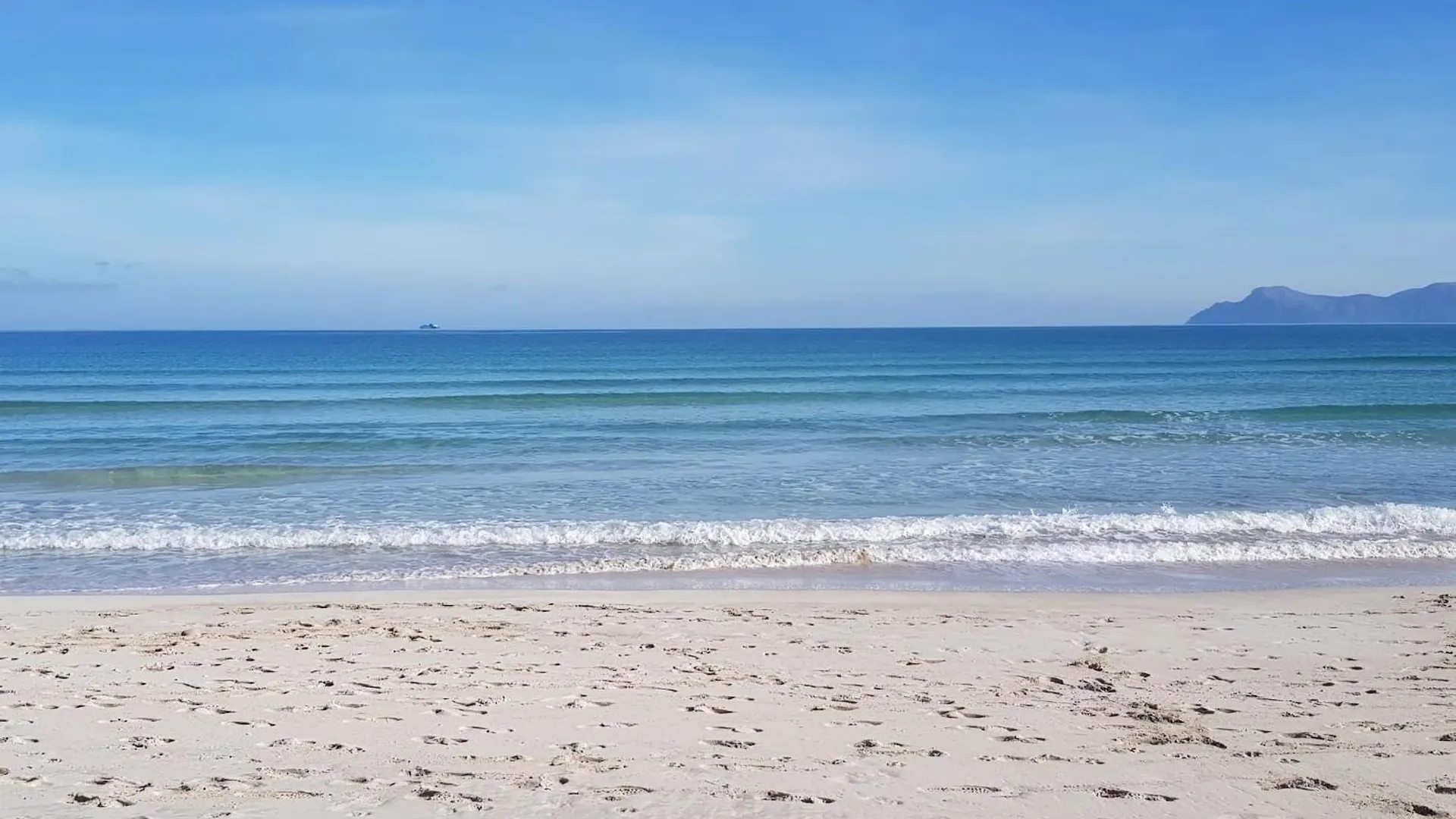 Ideal Property Mallorca - Dionis Alcudia